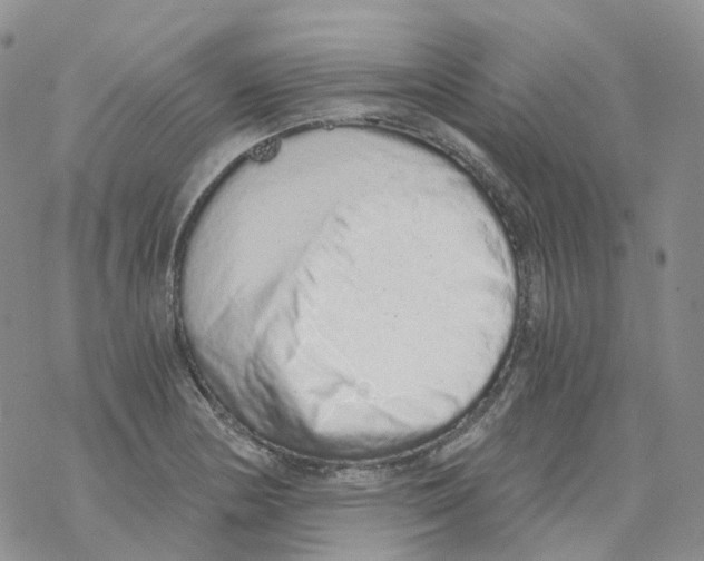 X0000068311178200605192001