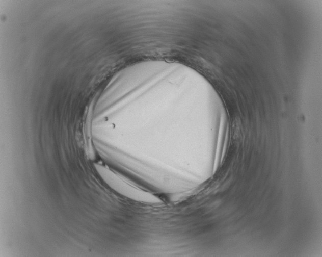 X0000068311202200605191959