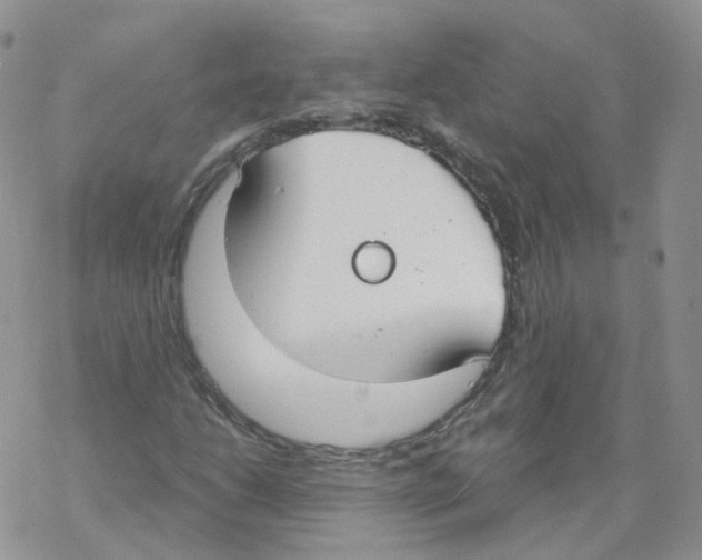 X0000068311206200605191959