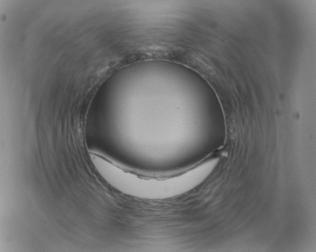 X0000068311298200605191958