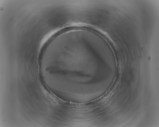 X0000068311319200605191958