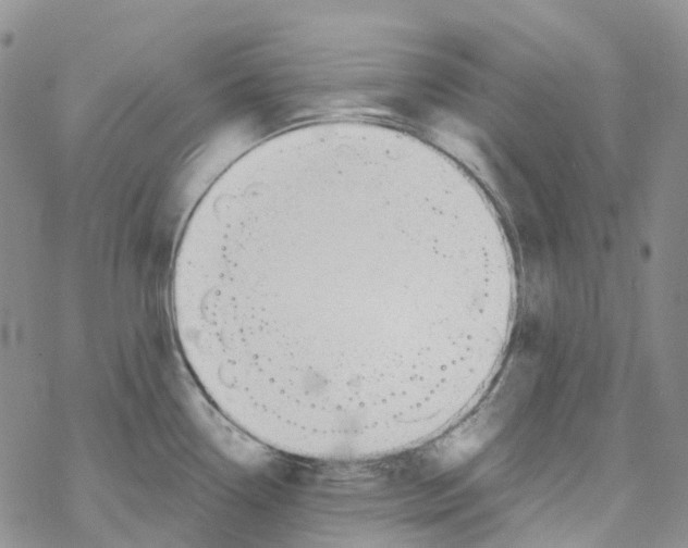 X0000068311338200605191959