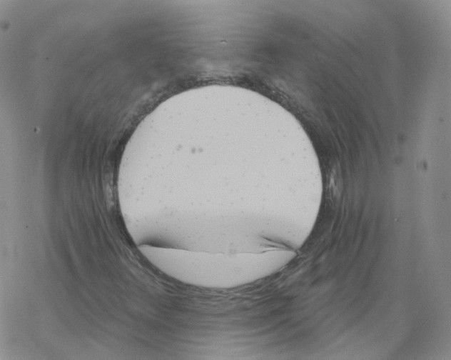 X0000068311348200605191958