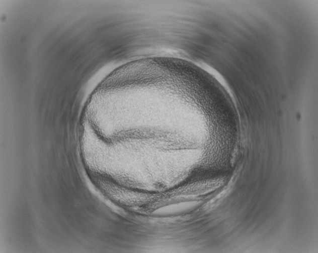 X0000068311389200605191957