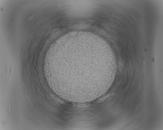 X0000068311393200605191956