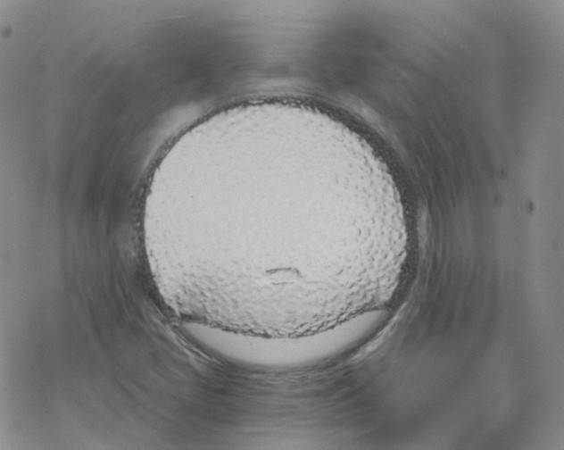 X0000068311405200605191956