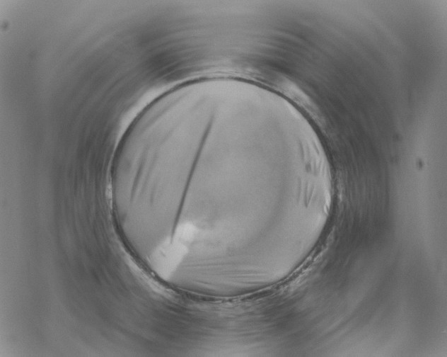 X0000068311428200605191957