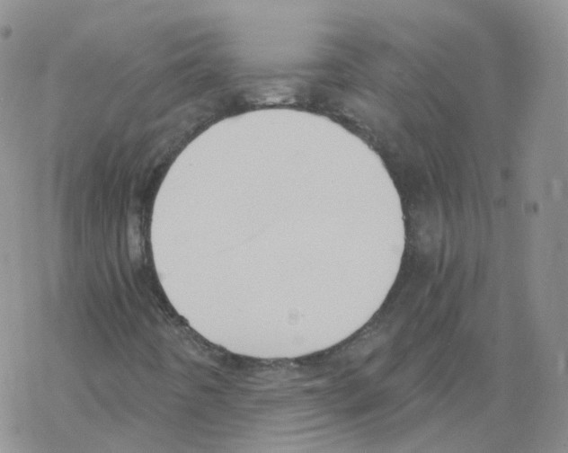 X0000068311442200605191956