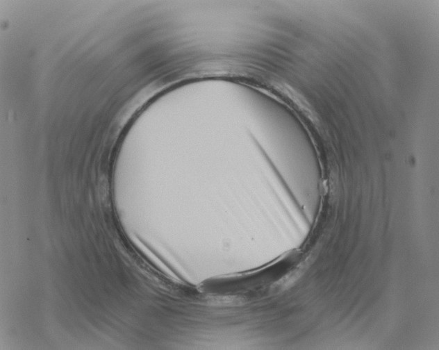 X0000068311465200605191956