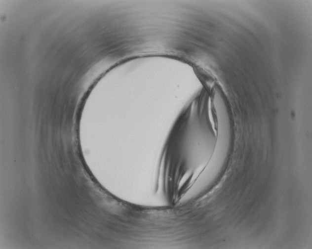 X0000068311469200605191956
