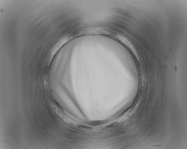 X0000068311481200605191956