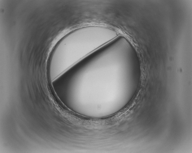 X0000068320008200604211023