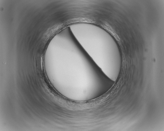 X0000068320014200604211023