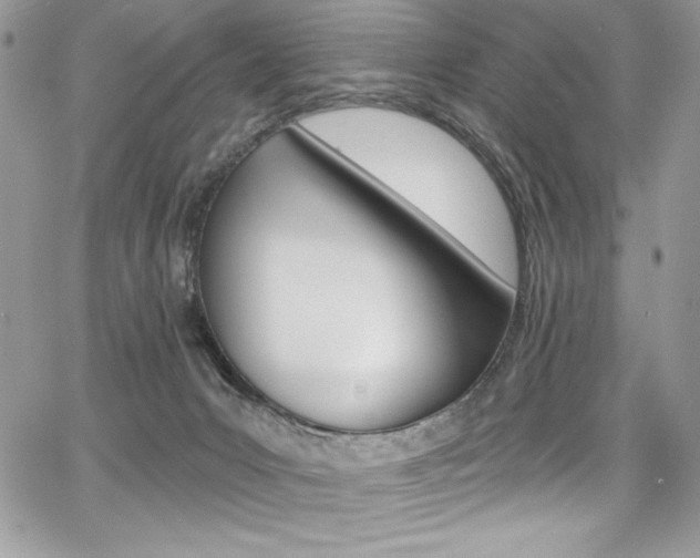 X0000068320031200604211023