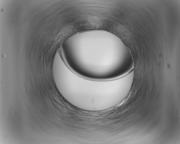 X0000068320045200604211023