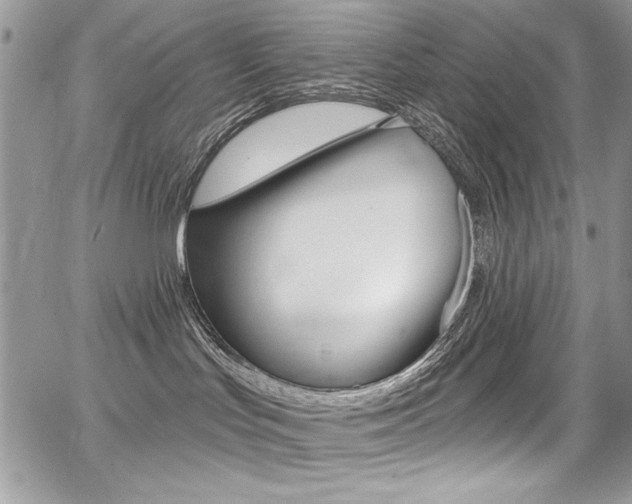 X0000068320047200604211023