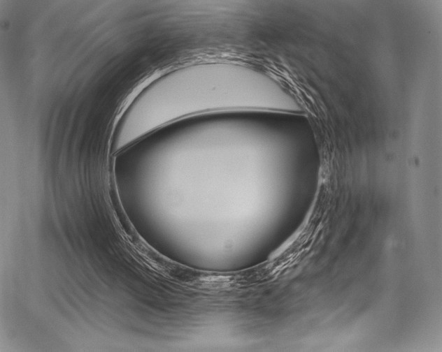 X0000068320052200604211022