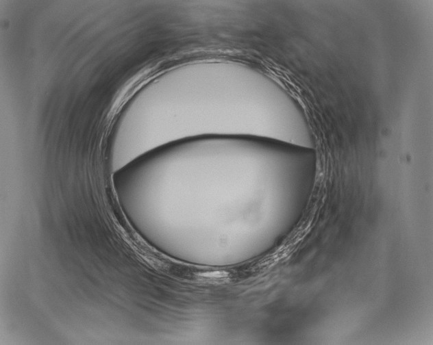 X0000068320053200604211022