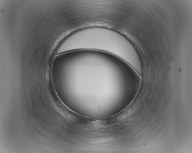X0000068320064200604211022