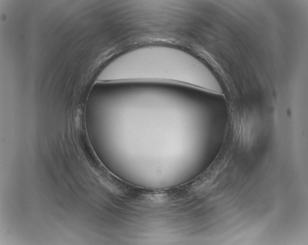 X0000068320071200604211022