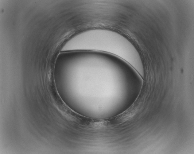 X0000068320072200604211022