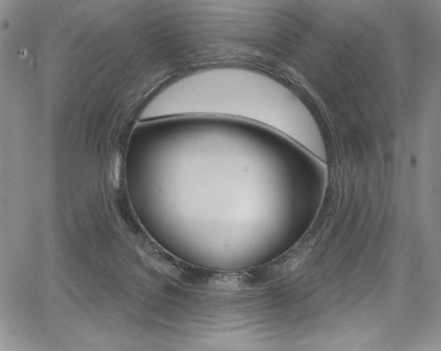 X0000068320076200604211022