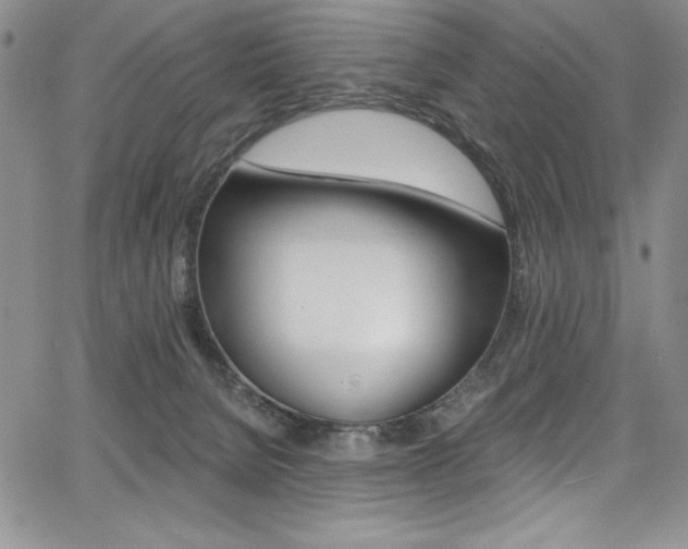 X0000068320080200604211022