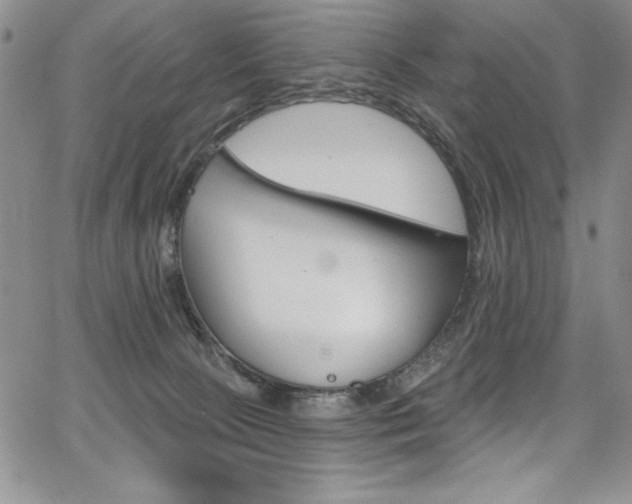 X0000068320081200604211022