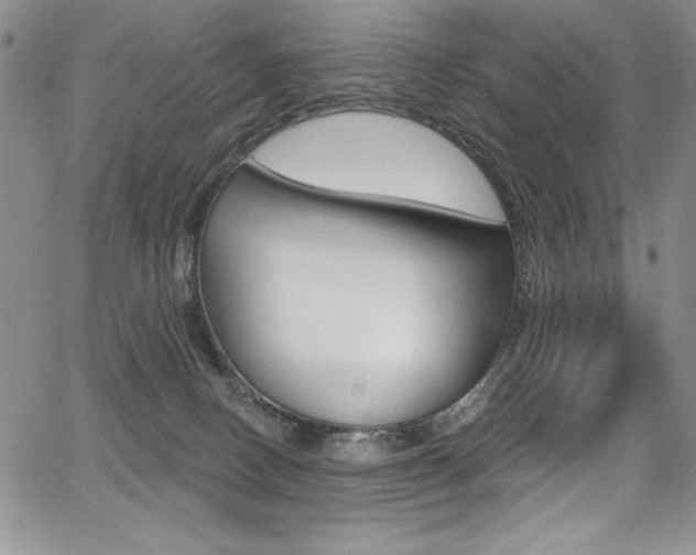 X0000068320082200604211022