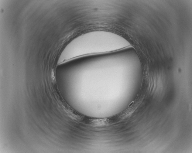 X0000068320089200604211023