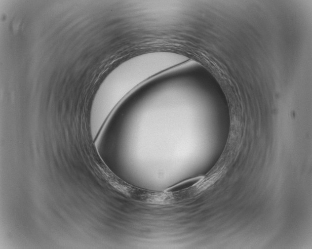 X0000068320096200604211023