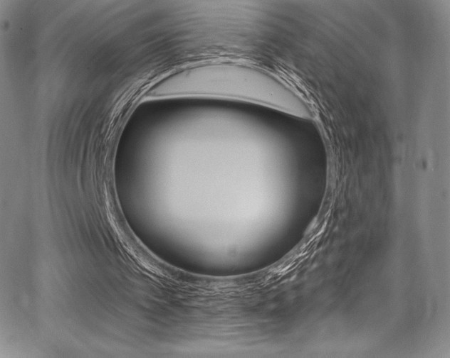 X0000068320097200604211022