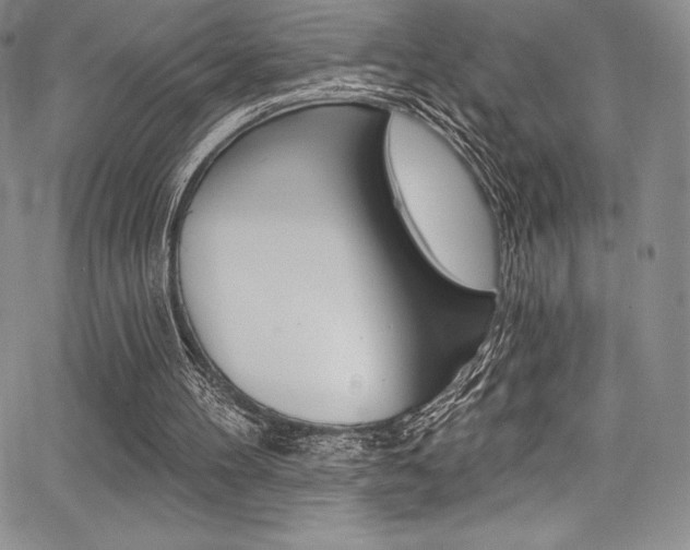 X0000068320100200604211022