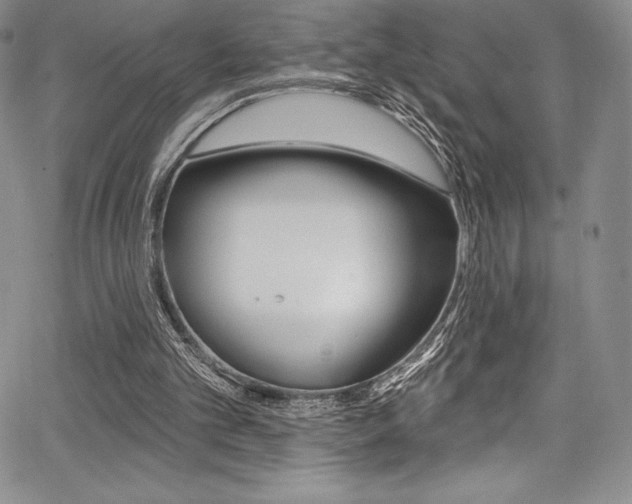 X0000068320101200604211022