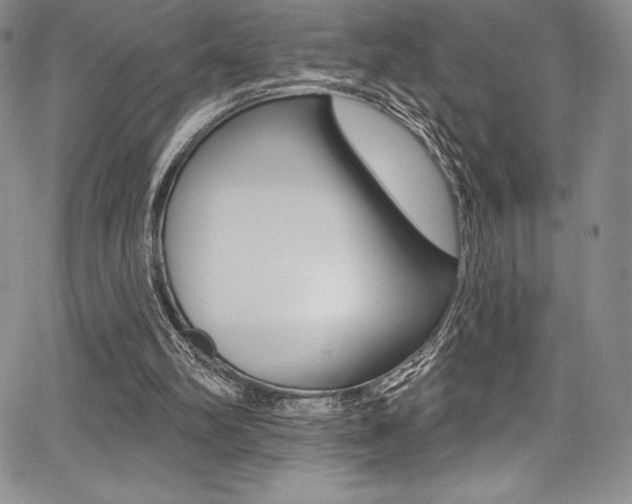 X0000068320102200604211022