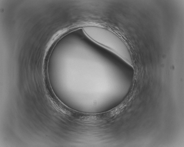X0000068320104200604211022