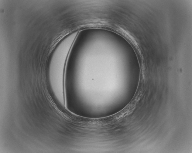 X0000068320105200604211022