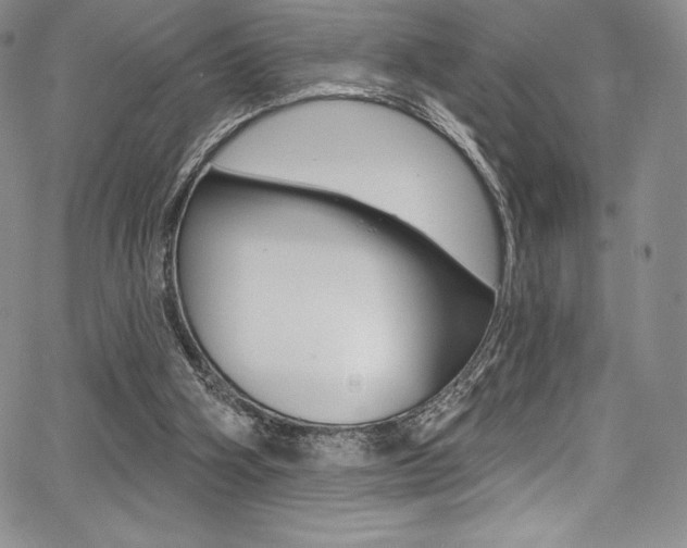 X0000068320106200604211022