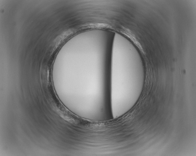 X0000068320110200604211022