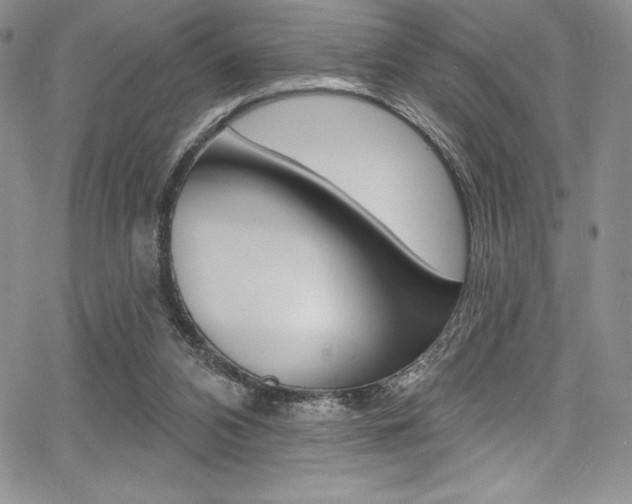 X0000068320112200604211022