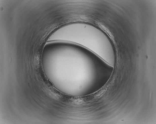 X0000068320113200604211022