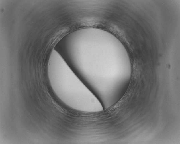 X0000068320114200604211022