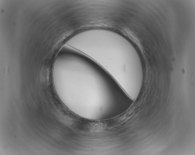 X0000068320115200604211022