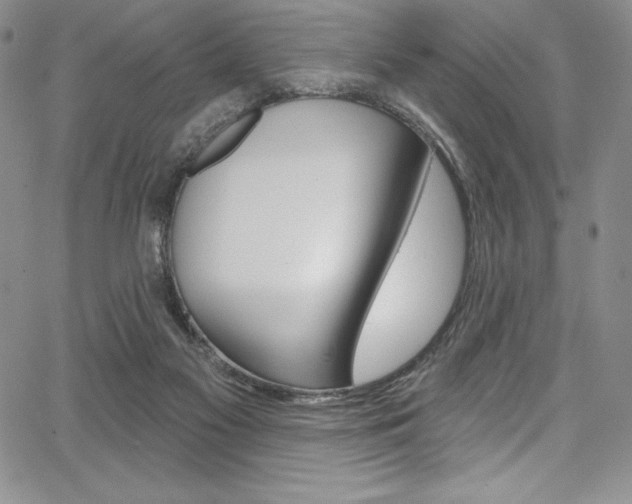 X0000068320117200604211021