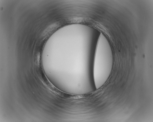 X0000068320118200604211021