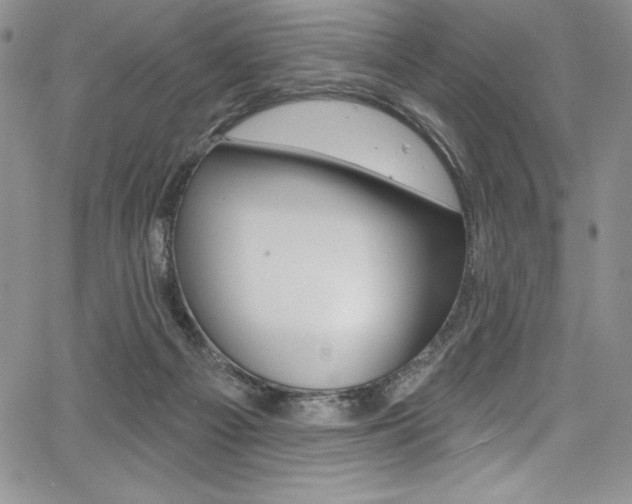 X0000068320121200604211021