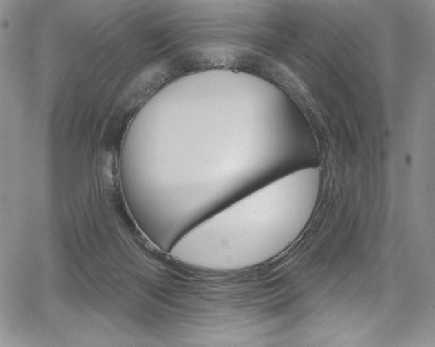 X0000068320122200604211021