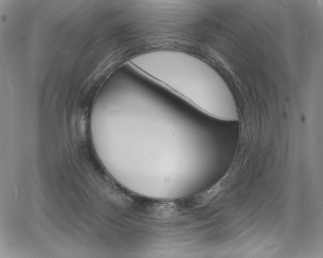 X0000068320124200604211021