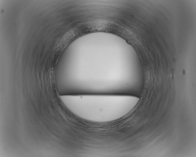 X0000068320126200604211021