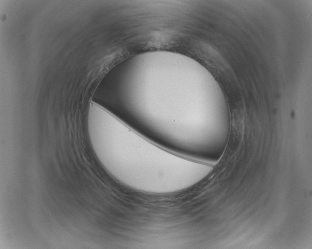 X0000068320127200604211021